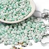 Baking Paint Glass Seed Beads X1-SEED-F006-01A-08-1