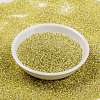 MIYUKI Round Rocailles Beads SEED-G009-RR0554-2