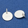 BENECREAT 6Pcs 925 Sterling Silver Charms STER-BC0001-64-2