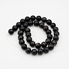 Natural Blue Tiger Eye Bead Strands G-P070-14-3mm-2