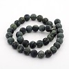 Frosted Natural Kambaba Jasper Beads Strands G-M272-13-10mm-2