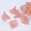 Transparent Acrylic Beads X-BSF796-C11-1
