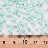 8/0 Opaque Glass Seed Beads SEED-S048-N-008-4