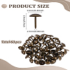60Pcs Iron Round Head Nails CABI-LP0001-02AB-2