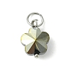 16Pcs 8 Colors Glass Charms PALLOY-JF03194-2