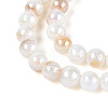 AB Color Natural Freshwater Shell Beads Strands BSHE-T014-40D-3
