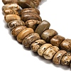 Natural Picture Jasper Beads Strands G-Q167-B14-01-4