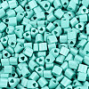 FGB Baking Paint Glass Seed Beads SEED-Q040-09A-13-3