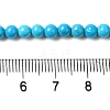 Dyed Natural Magnesite Beads Strands G-Q181-B01-01-5