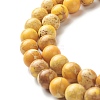 Natural Imperial Jasper Beads Strands G-I122-8mm-23-3