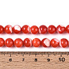 Natural Trochus Shell Mother of Pearl Shell Beads Strands X-SSHEL-T012-06-4