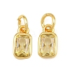 Brass Pave Cubic Zirconia Charms CU-CBA3D67-12G-10-1