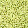 Opaque Baking Paint Glass Seed Beads SEED-T008-02L-3