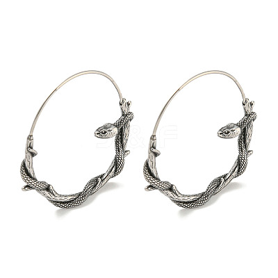 316 Surgical Stainless Steel Hoop Earrings for Women and Men EJEW-D096-22A-AS-1