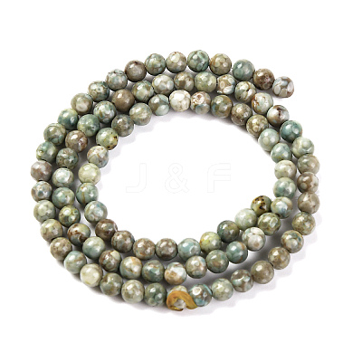 Natural Maifanite/Maifan Stone Beads Strands X-G-P451-01C-E-1