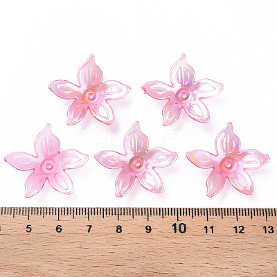 Transparent Acrylic Beads MACR-S373-102-C01-1