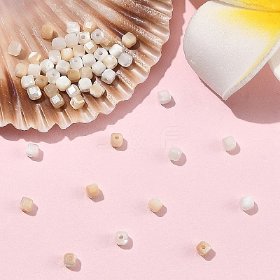 60Pcs 2 Colors Natural Trochid Shell/Trochus Shell Beads BSHE-YW0001-24-1
