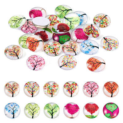 24Pcs 12 Style Glass Cabochon GLAA-TA0001-71-1