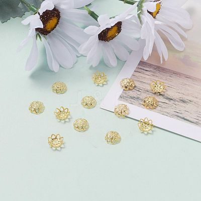 Iron Fancy Bead Caps IFIN-ZX1173-G-1
