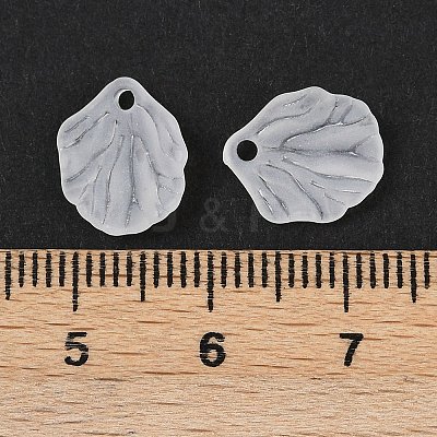 Transparent Acrylic Pendants MACR-L008-01-1