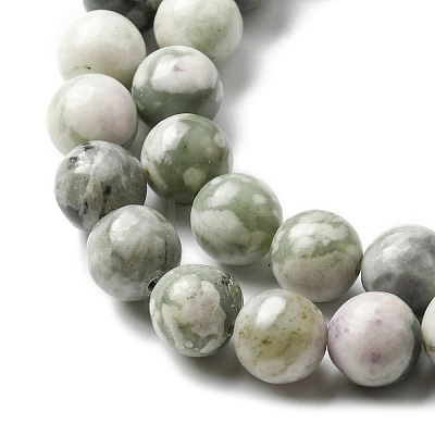 Natural Peace Jade Beads Strands G-E598-04B-1