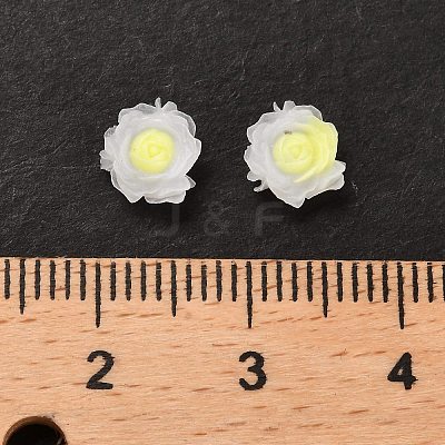 Luminous Resin Decoden Cabochons RESI-K036-06G-1