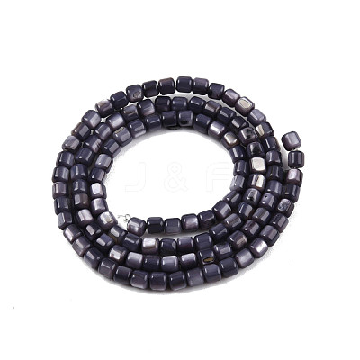 Natural Freshwater Shell Beads Strands SHEL-N003-33-A01-1