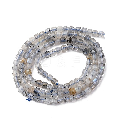 Natural Labradorite Beads Strands G-RM2025-C13-B-1