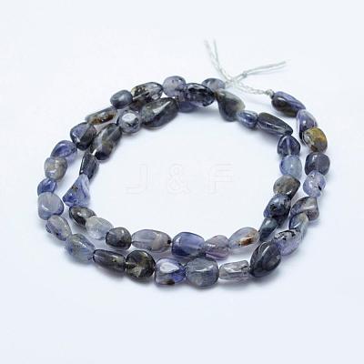 Natural Cordierite/Iolite/Dichroite Beads Strands G-K203-10-1