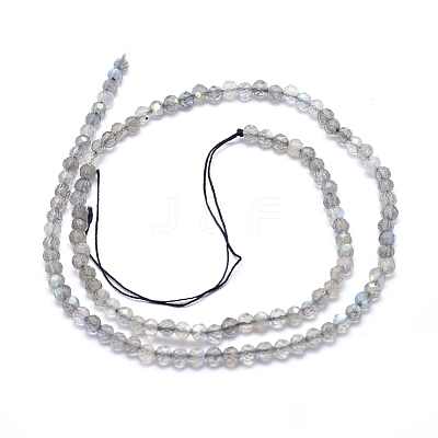 Natural Labradorite Beads Strands G-D0003-E86-4MM-1