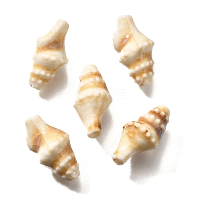 Handmade Porcelain Beads PORC-H013-03-08-1