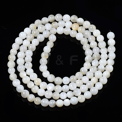 Natural Freshwater Shell Beads Strands BSHE-T009A-01A-1