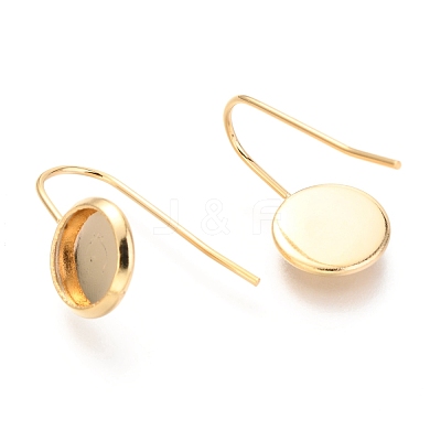 304 Stainless Steel Earring Hooks STAS-F227-22A-G-1