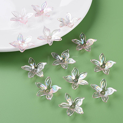 Transparent Acrylic Beads MACR-S373-102-C02-1