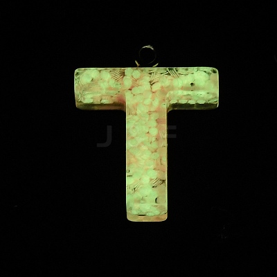 Luminous Resin Pendants X1-RESI-I059-T01-1
