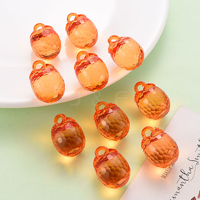 Autumn Theme Transparent Acrylic Pendants TACR-T024-04B-921-1