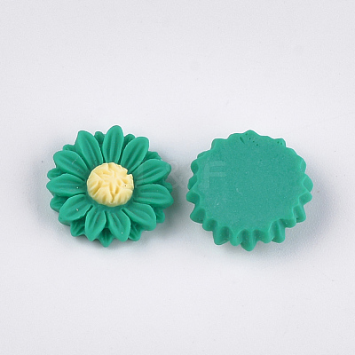 Resin Cabochons CRES-T010-60A-1