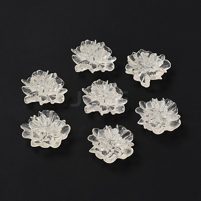 Transparent Resin Cabochons RESI-G027-01A-1