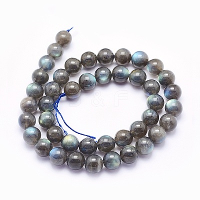 Natural Labradorite Beads Strands G-O166-08-10mm-1