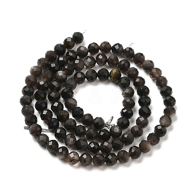 Natural Silver Sheen Obsidian Beads Strands LS-G-E608-A02-C-1