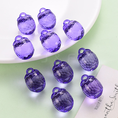 Autumn Theme Transparent Acrylic Pendants TACR-T024-04B-936-1