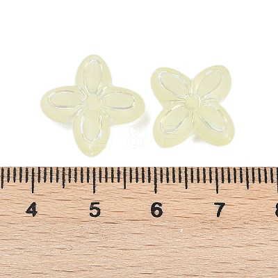 Frosted Transparent Acrylic Beads OACR-P029-09B-03-1