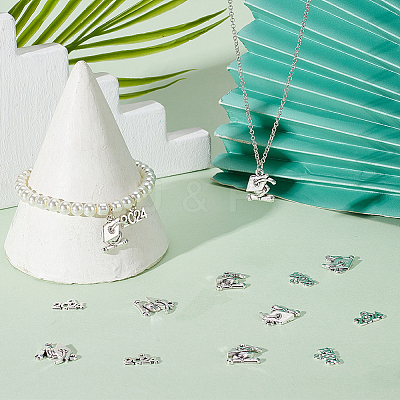 100Pcs 2 Styles Tibetan Style Alloy Charms TIBE-SC0001-88-1