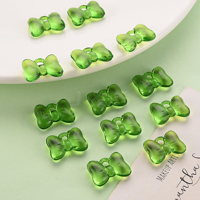 Transparent Acrylic Pendants TACR-T024-02BA-925-1