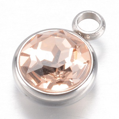 304 Stainless Steel Glass Rhinestone Charms STAS-G082-07-1