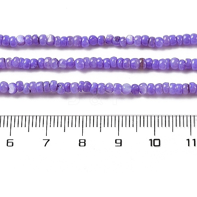 Natural Freshwater Shell Beads Strands SHEL-P017-01B-04-1