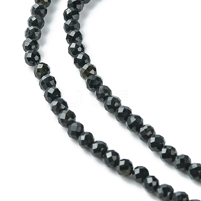 Natural Black Tourmaline Beads Strands LS-G-F748-Y01-02-1