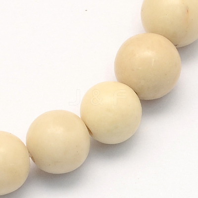 Natural Fossil Round Beads Strands G-S171-6mm-1