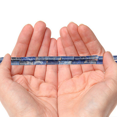 2 Strands Natural Sodalite Beads Strands G-GO0001-42-1