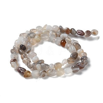 Natural Botswana Agate Beads Strands G-D081-A03-1